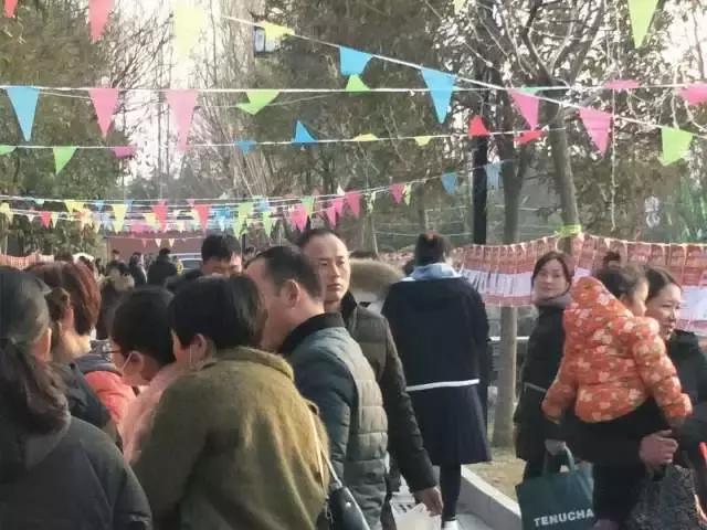 团市委举办“祈福爱情，永结同心”新春相亲大会