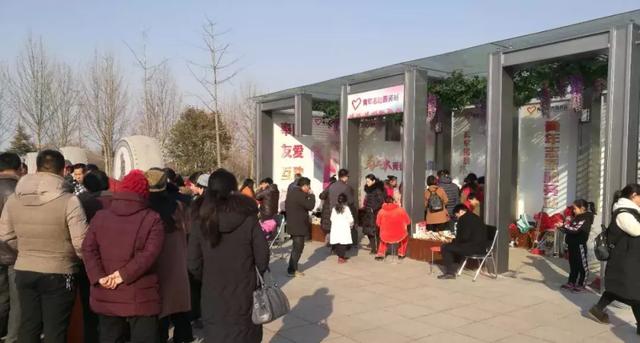 志愿商丘丨奉献的新春最美丽！